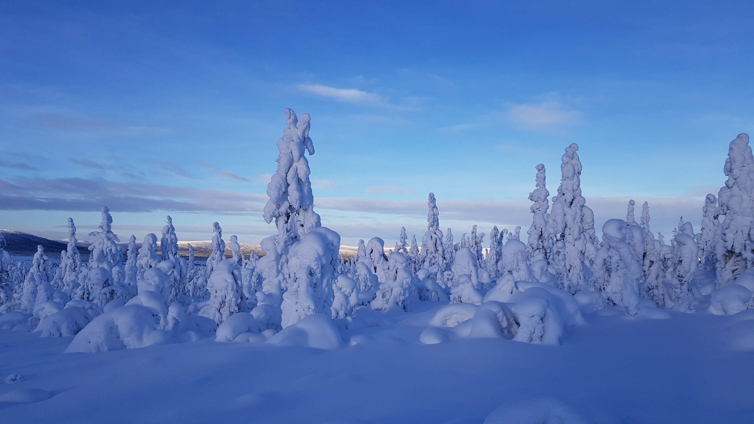 Vi går mot ljusare tider foto Åsa Fjällborg scaled